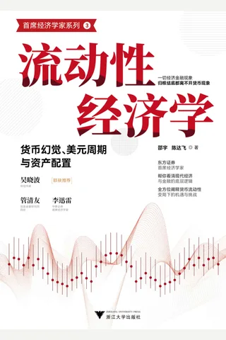 《流动性经济学》 封面