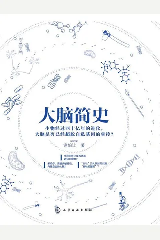 《大脑简史》 封面