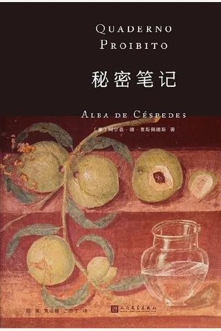 《秘密笔记》 封面