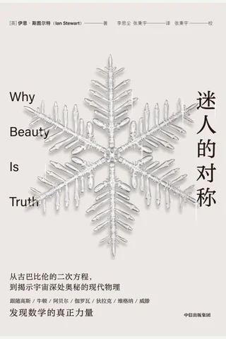 《迷人的对称》 封面