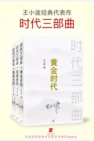 时代三部曲-王小波 封面