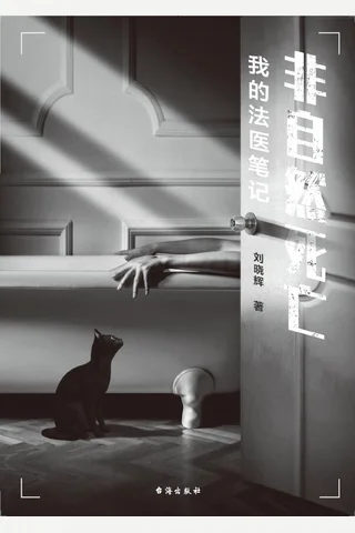《非自然死亡》 封面