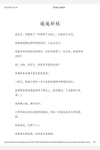 知乎盐选 遥遥折枝 封面