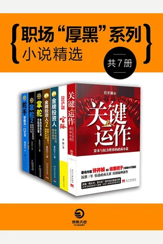 《政商规则与谋略：中国官场小说系列》 封面