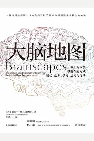 《大脑地图》 封面