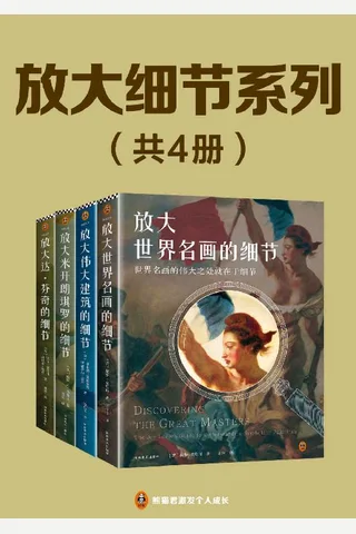 放大细节系列套装 封面
