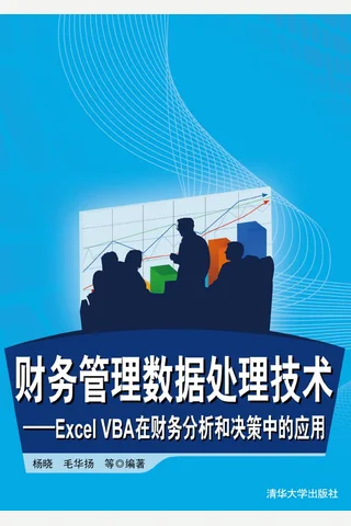 财务管理数据处理技术——EXCEL VBA在财务分析和决策中的应用 封面