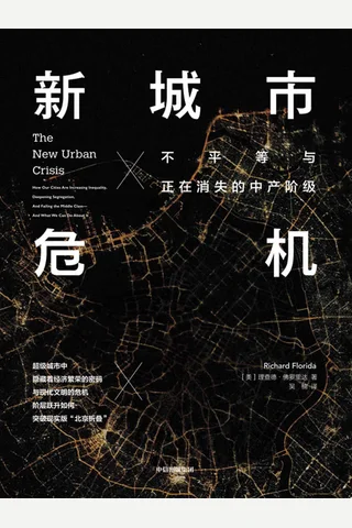 《新城市危机》 封面