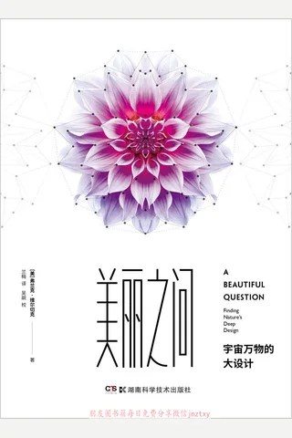 《美丽之问：宇宙万物的大设计》 封面