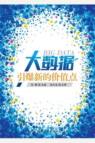 大数据：引爆新的价值点 封面