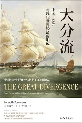 大分流 封面