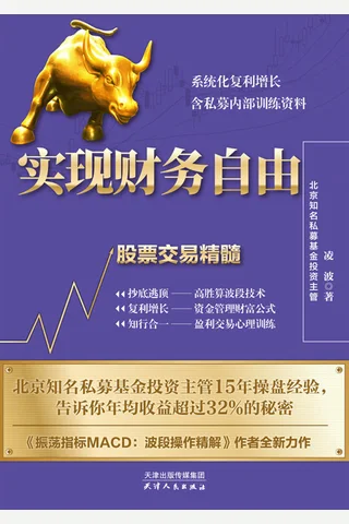 《实现财务zy》 封面