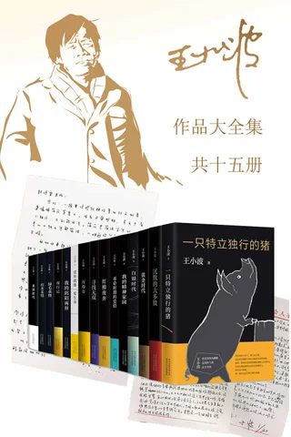 王小波作品大全集（15册）（李银河老师亲自亲自校勘全稿，影响几代年轻人的文学经典，无与伦比的文学！好的纪念就是再读一遍王小波） 封面