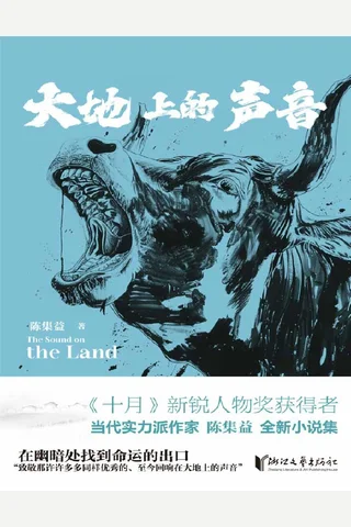 《大地上的声音》 封面