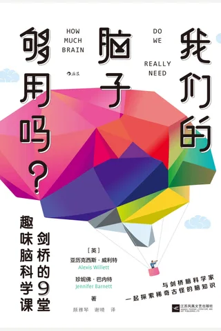《我们的脑子够用吗？》 封面