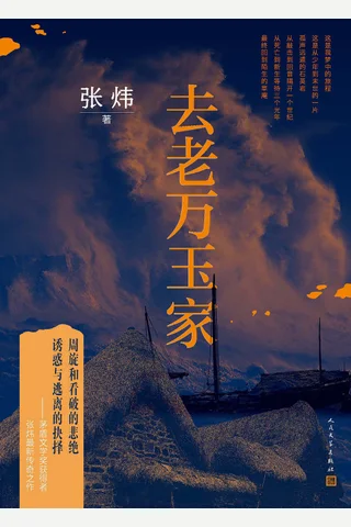 去老万玉家 封面