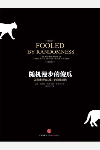 随机漫步的傻瓜 封面