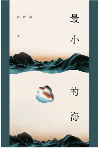最小的海 封面