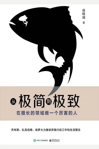 《从极简到极致：在擅长的领域做一个厉害的人》 封面