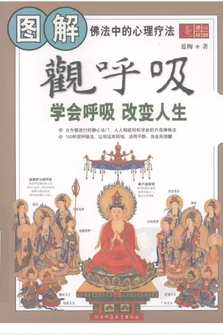 图解观呼吸：学会呼吸 改变人生（佛法中的心理疗法 封面