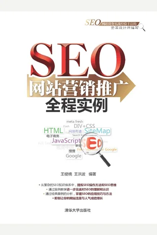 SEO网站营销推广全程实例 封面
