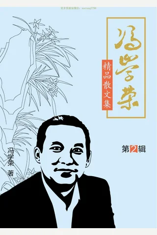 冯学荣作品第二辑 封面