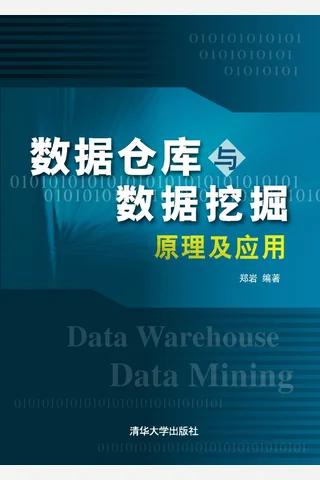 数据仓库与数据挖掘原理及应用 封面