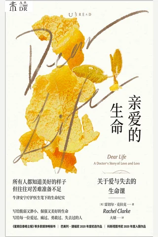 《亲爱的生命》 封面