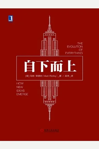 自下而上 封面