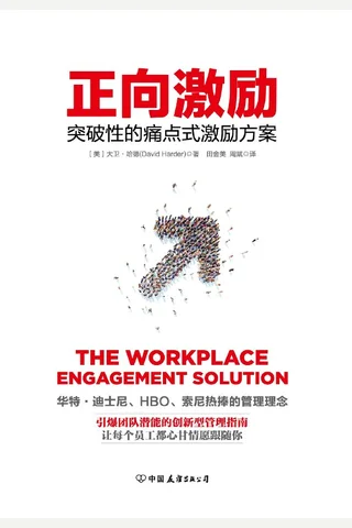 《正向激励：突破性的痛点式激励方案》 封面