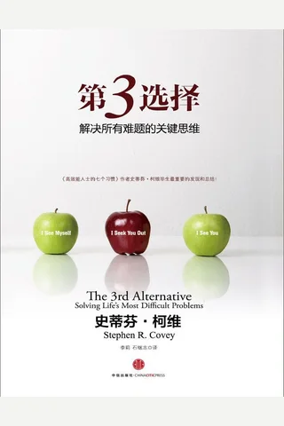 第3选择：解决所有难题的关键思维 封面