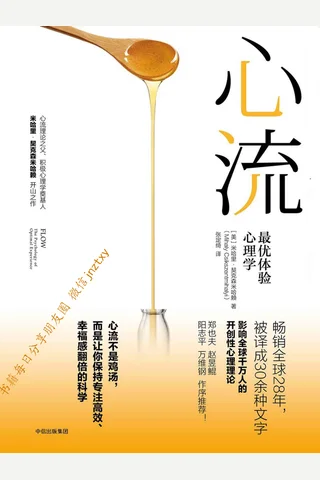 心流：最优体验心理学 封面