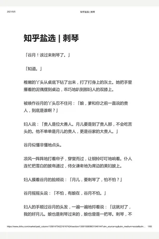 知乎盐选 刺琴 封面