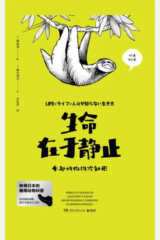 《生命在于静止》 封面