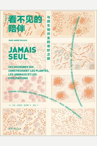 《看不见的陪伴》【豆瓣评分8.5】 封面