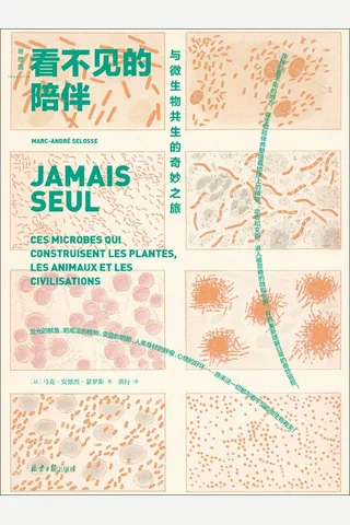 看不见的陪伴：与微生物共生的奇妙之旅 封面