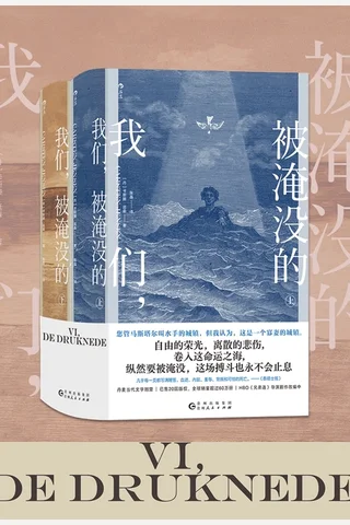 我们，被淹没的 封面