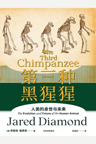 《第三种黑猩猩》 封面