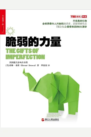 脆弱的力量 封面