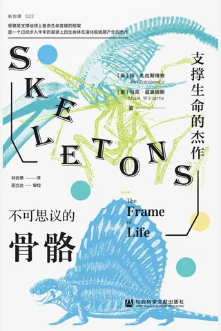 《不可思议的骨骼》 封面