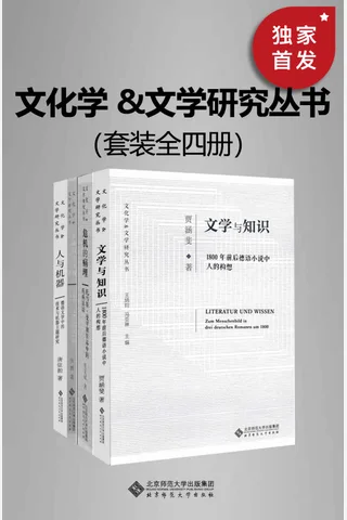文化学 &文学研究丛书 封面