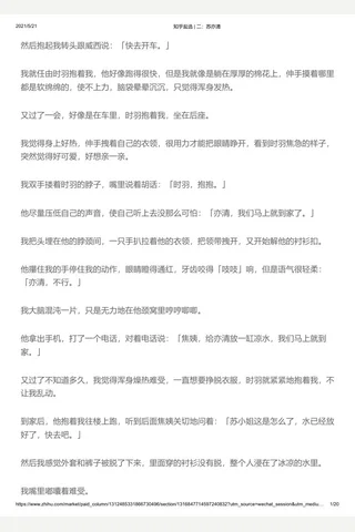知乎盐选 二：苏亦清 封面