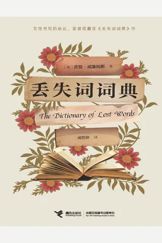 《丢失词词典》【豆瓣评分8.6】 封面