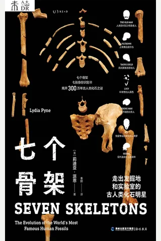 《七个骨架》 封面