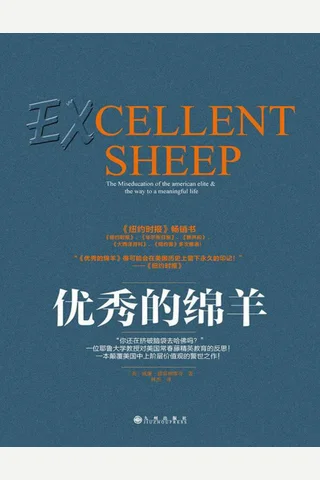 优秀的绵羊 封面