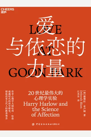 《爱与依恋的力量》 封面