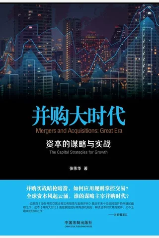 并购大时代 封面