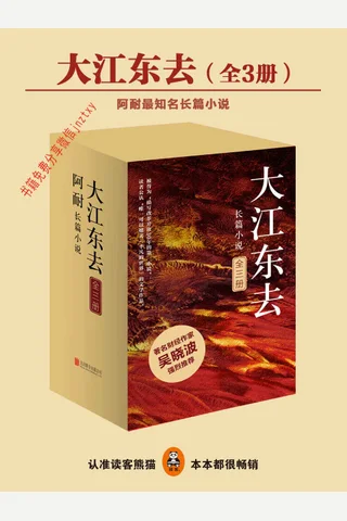 大江东去 封面