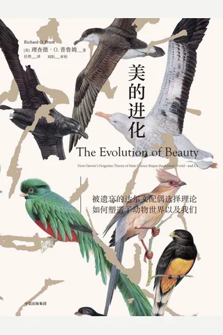 《美的进化》达尔文的配偶选择论如何塑造了动物世界和人类 封面