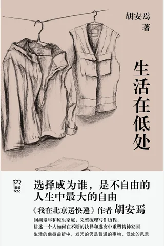 《生活在低处》【豆瓣评分8.0】 封面